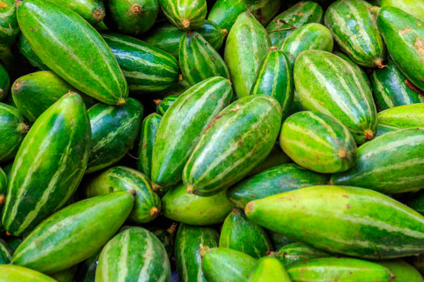Pointed Gourd
